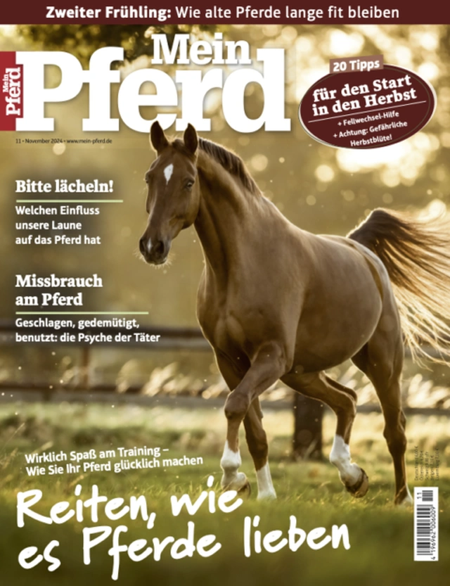 Mein Pferd Magazin Studentenabo